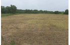 Lake County, Indiana farmland - LAND AUCTION - 147+/- ACRES OFFERED IN 3 TRACTS IN LAKE COUNTY, INDIANA